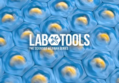 Improving Tumor Microenvironment Proteomics Using Spatial Biology